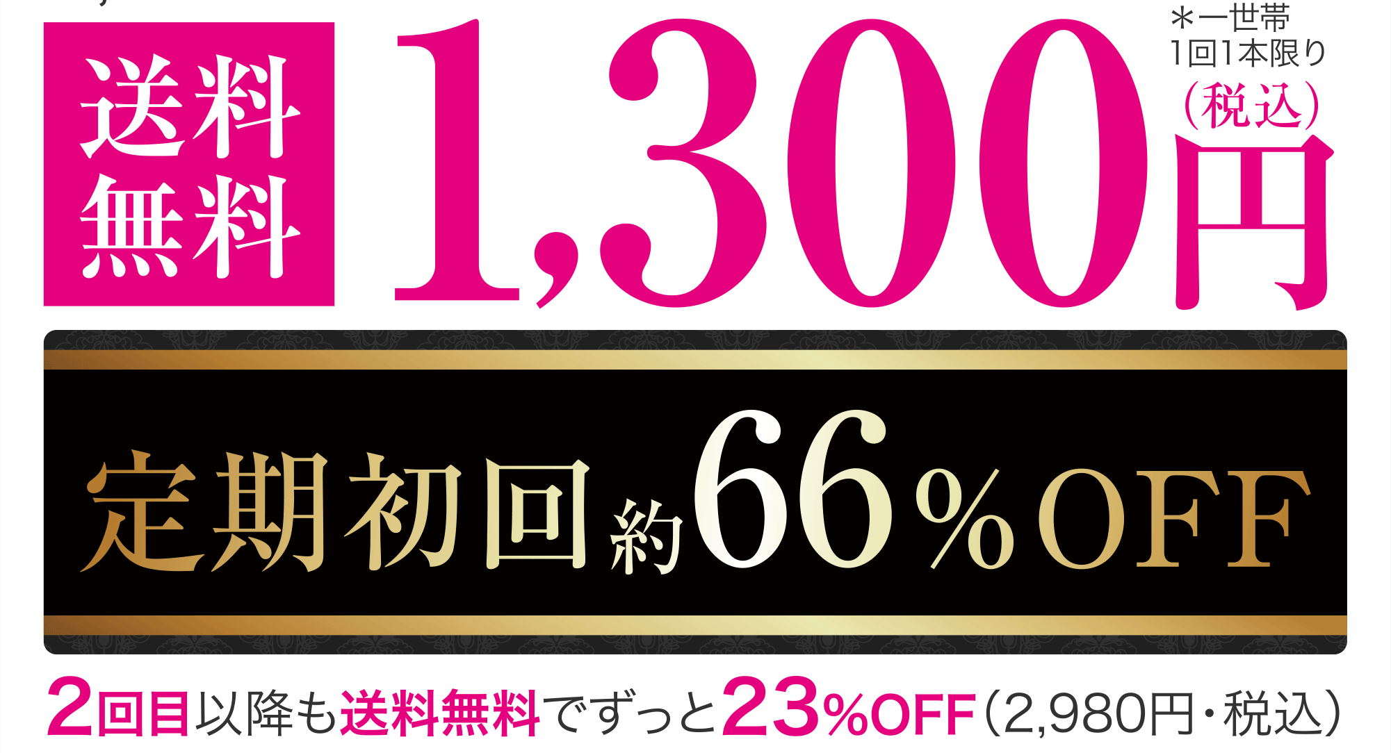 1,3000円送料無料