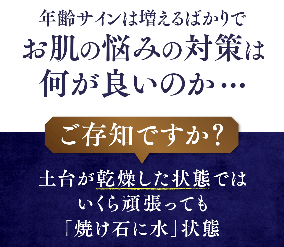 年齢サインは増えるばかりで お肌の悩みの対策は何が良いのか・・・