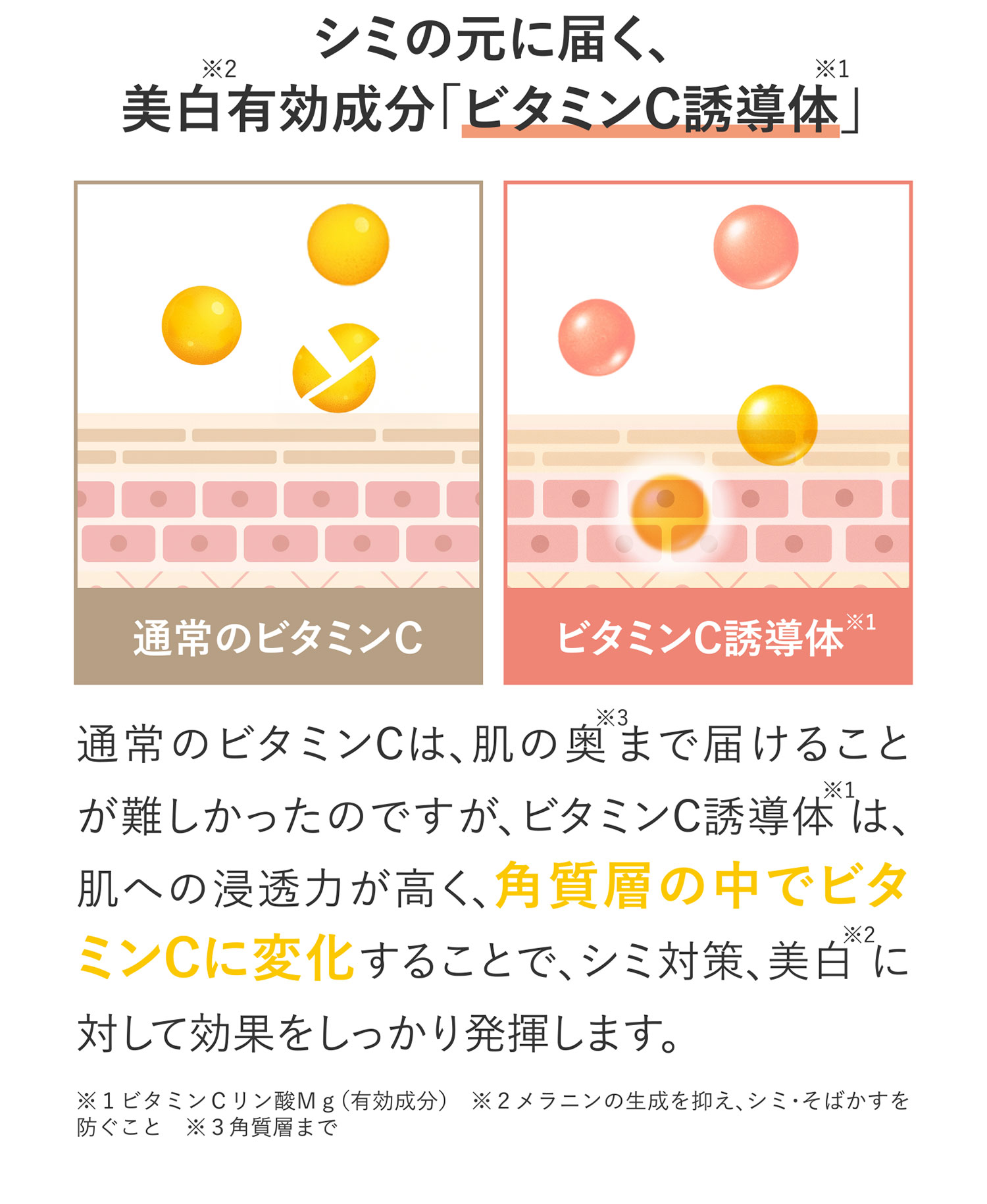 シミの元に届くに美肌有効成分「ビタミンC誘導体」