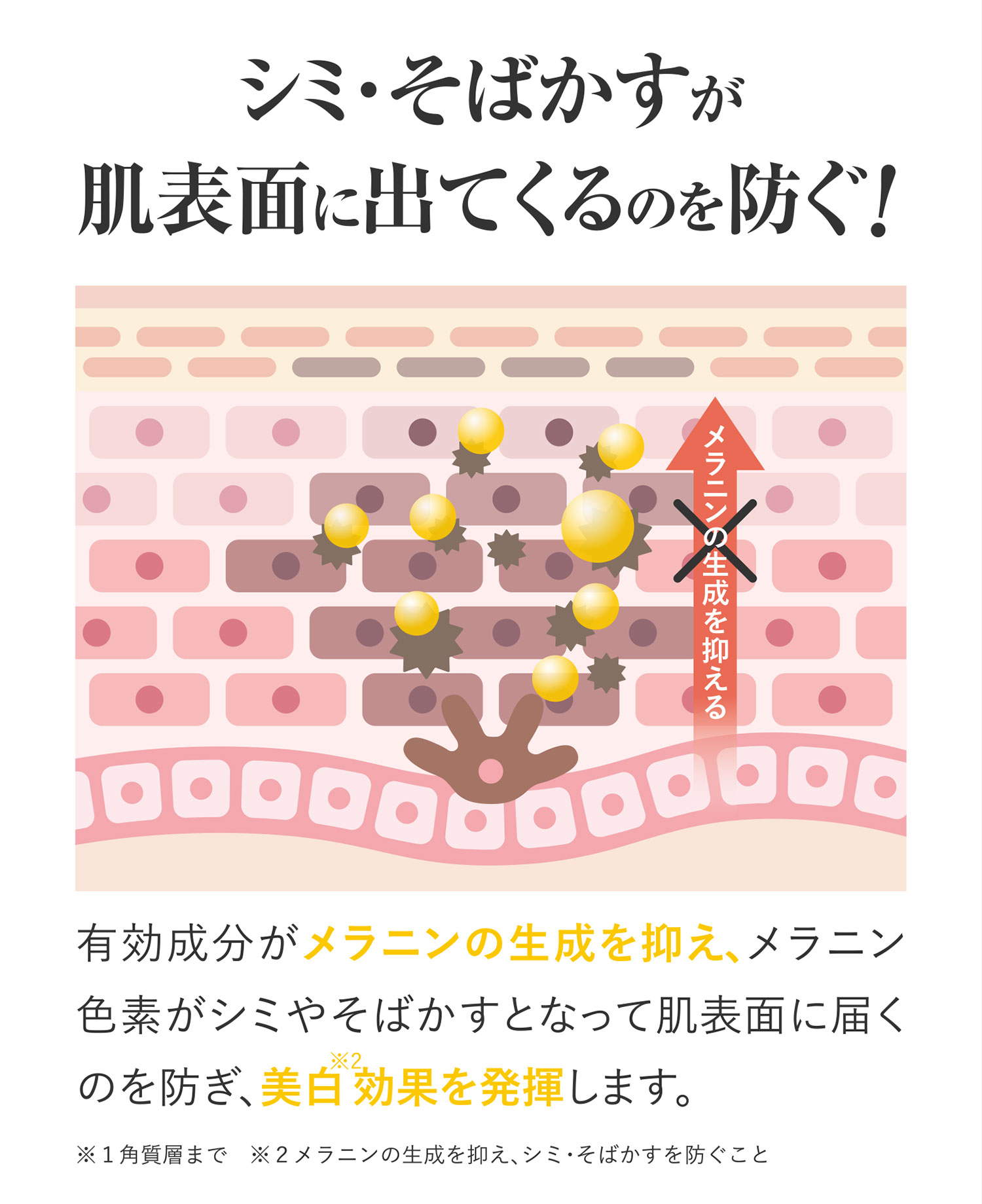 シミ・そばかすが肌表面に出てくるのを防ぐ