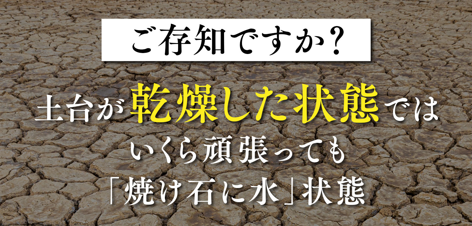ご存知ですか？土台が乾燥した状態ではいくら頑張っても「焼け石に水」状態